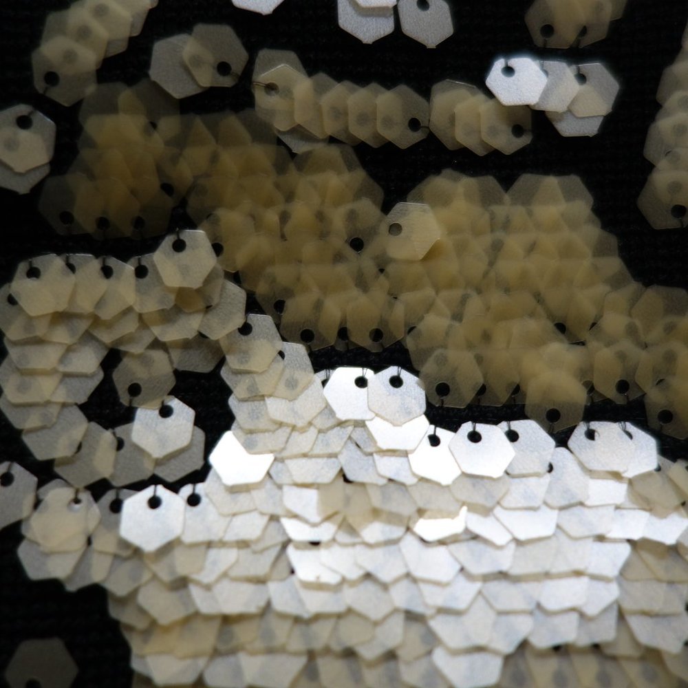 Sequined Jacket - image 4